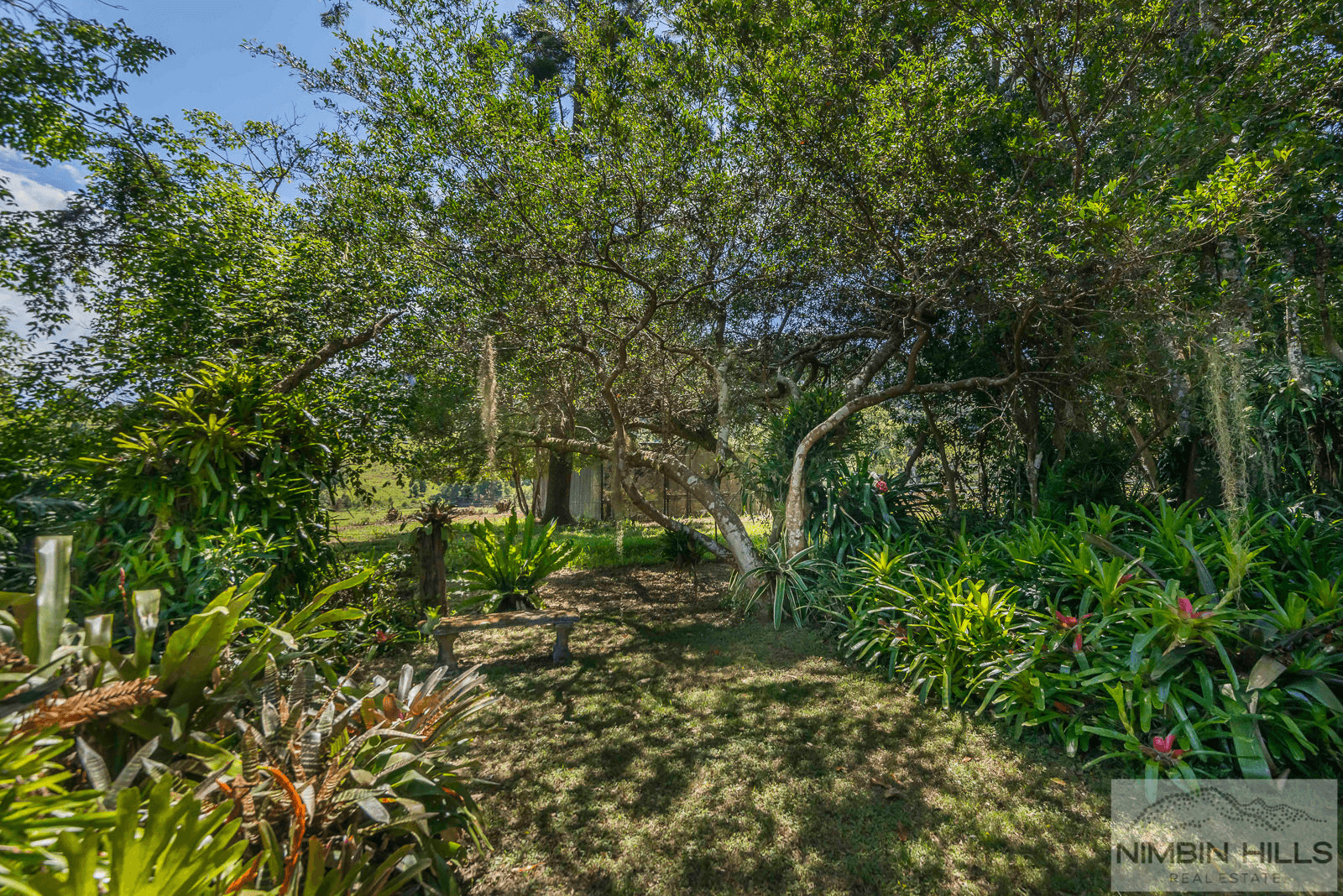 447 Terania Creek Road, TERANIA CREEK, NSW 2480