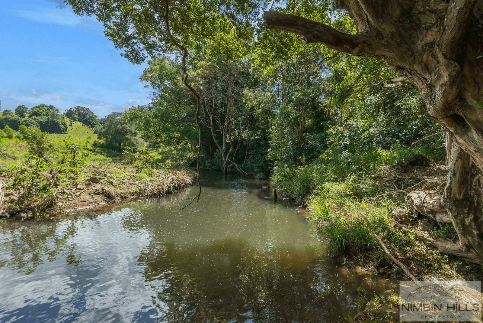 447 Terania Creek Road, TERANIA CREEK, NSW 2480