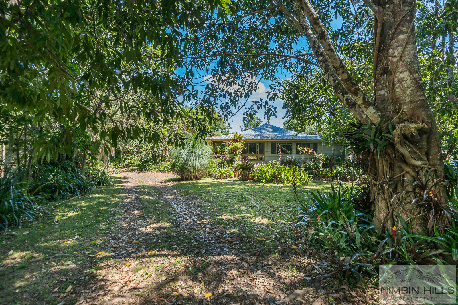 447 Terania Creek Road, TERANIA CREEK, NSW 2480