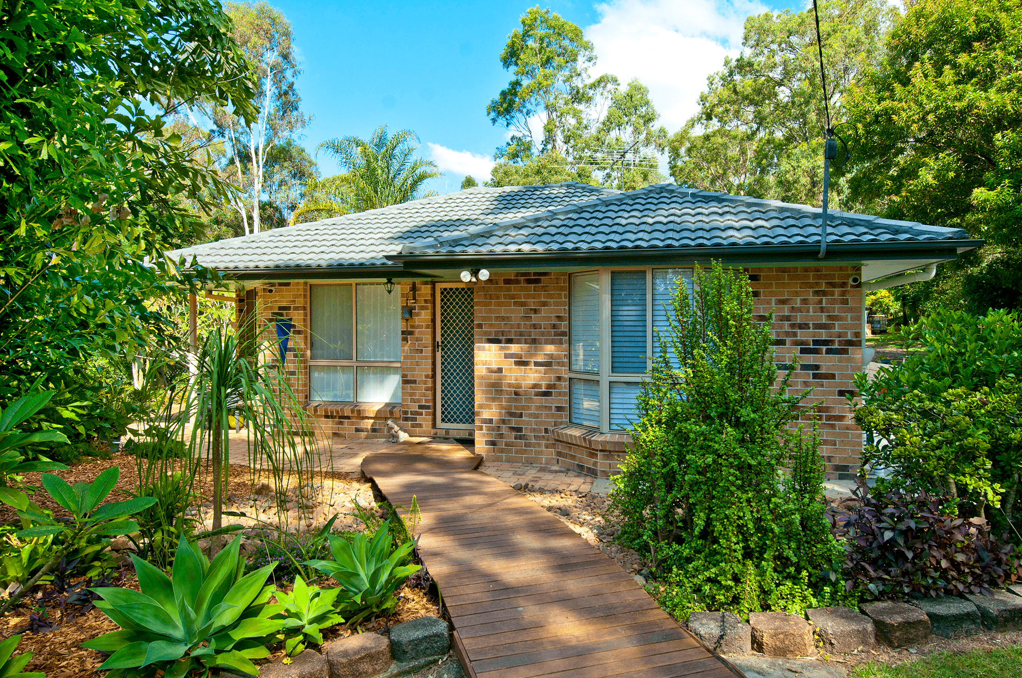 204-206 Leopardwood Road, CEDAR GROVE, QLD 4285