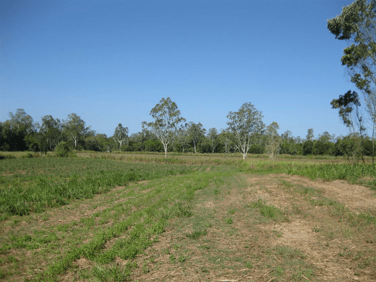 0 Middle Murray Road, Murray Upper, QLD 4854