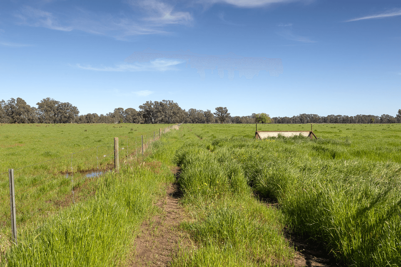 Lot 2 LP139833 Benalla-Warrenbayne Rd, BADDAGINNIE, VIC 3670