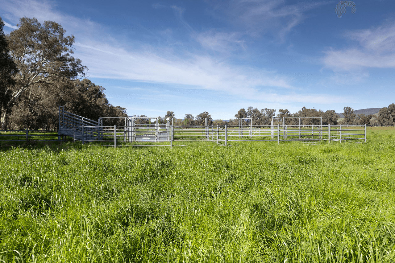 Lot 2 LP139833 Benalla-Warrenbayne Rd, BADDAGINNIE, VIC 3670