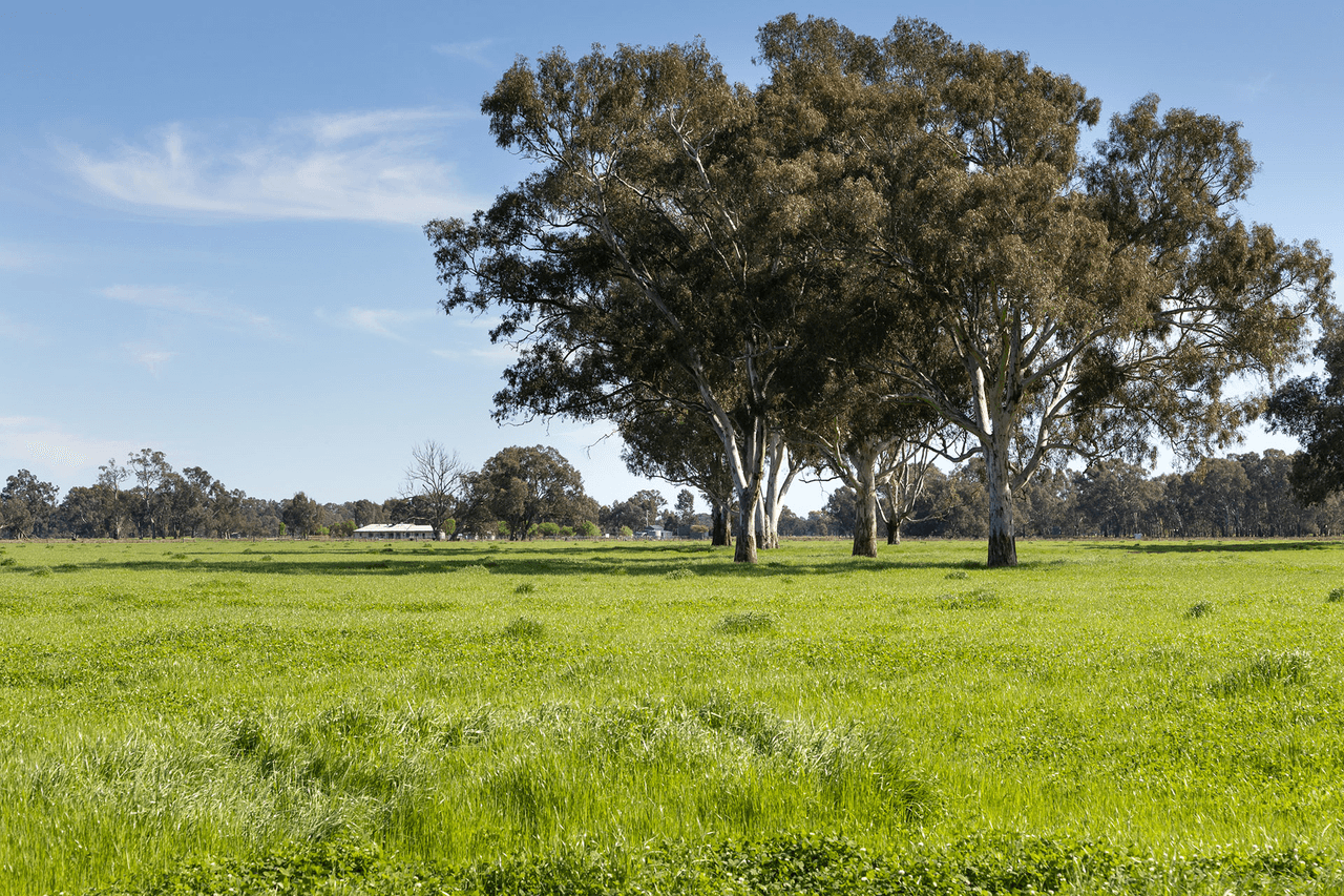 Lot 2 LP139833 Benalla-Warrenbayne Rd, BADDAGINNIE, VIC 3670