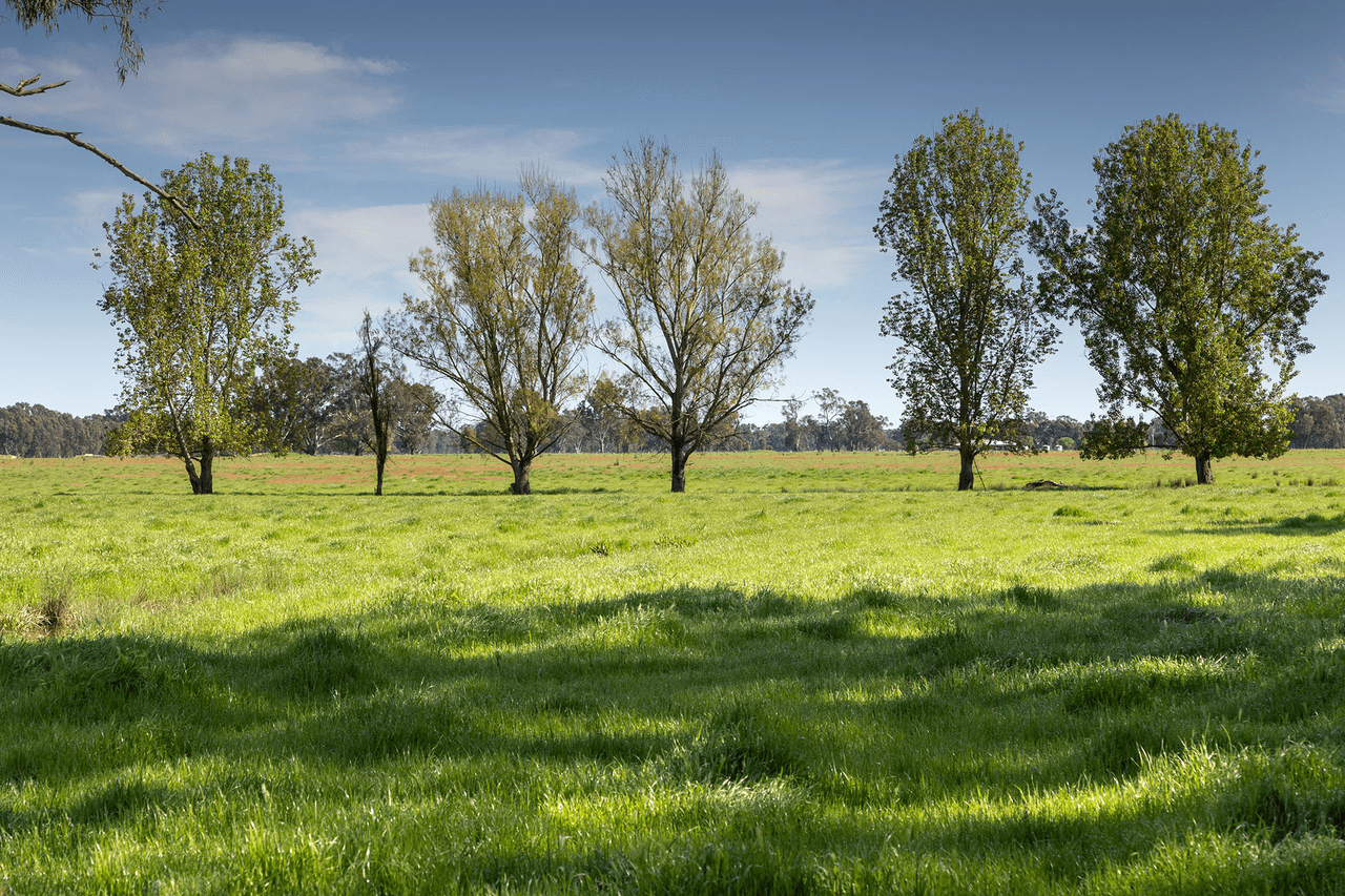 Lot 2 LP139833 Benalla-Warrenbayne Rd, BADDAGINNIE, VIC 3670