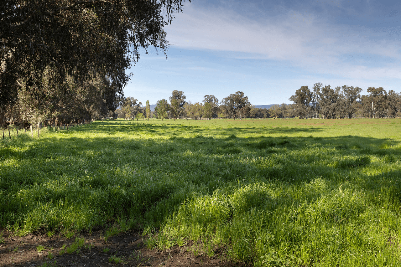 Lot 2 LP139833 Benalla-Warrenbayne Rd, BADDAGINNIE, VIC 3670