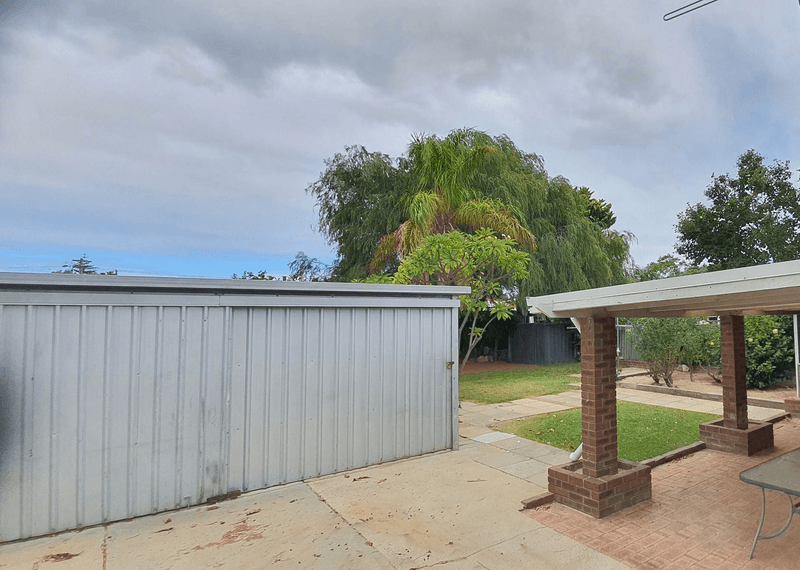 10 Trusmore Crescent, CRAIGIE, WA 6025