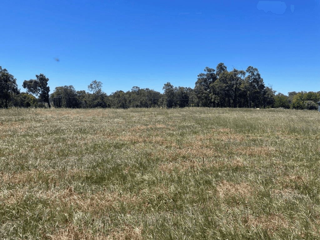 Lot 901 Mathieson Road, CHIDLOW, WA 6556