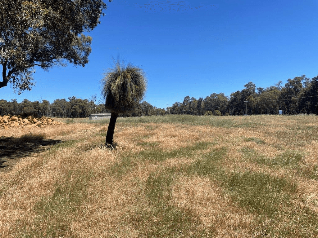 Lot 901 Mathieson Road, CHIDLOW, WA 6556