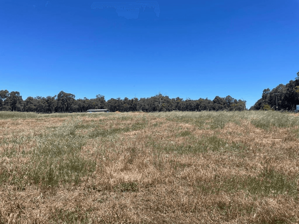 Lot 901 Mathieson Road, CHIDLOW, WA 6556