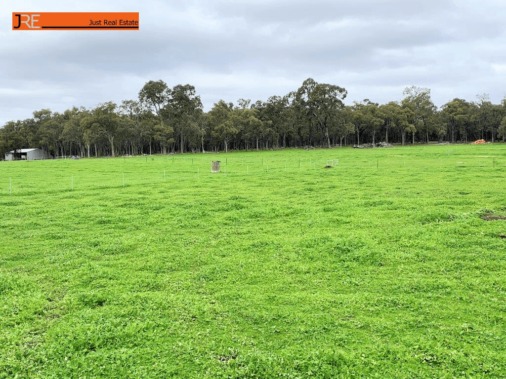 Lot 901 Mathieson Road, CHIDLOW, WA 6556