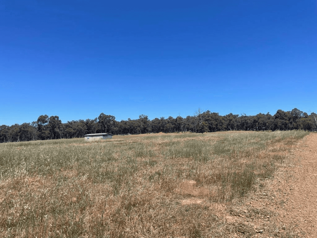 Lot 901 Mathieson Road, CHIDLOW, WA 6556
