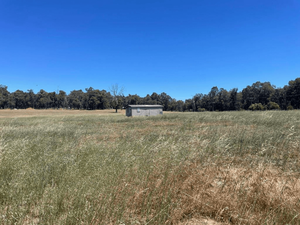 Lot 901 Mathieson Road, CHIDLOW, WA 6556