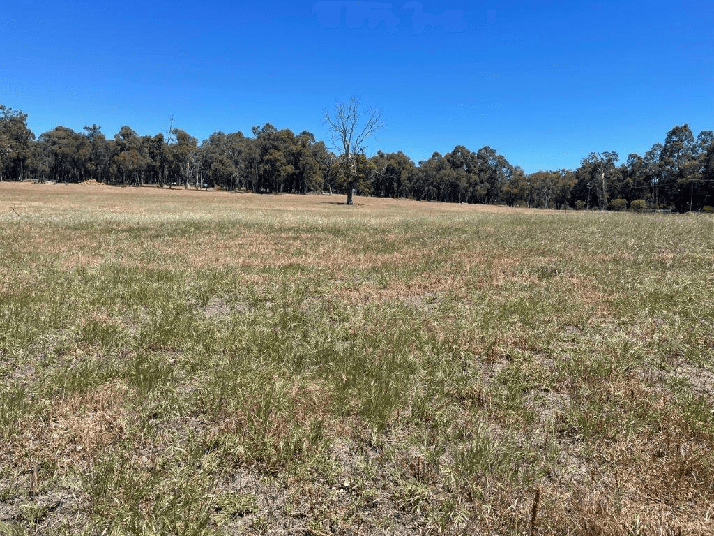 Lot 901 Mathieson Road, CHIDLOW, WA 6556