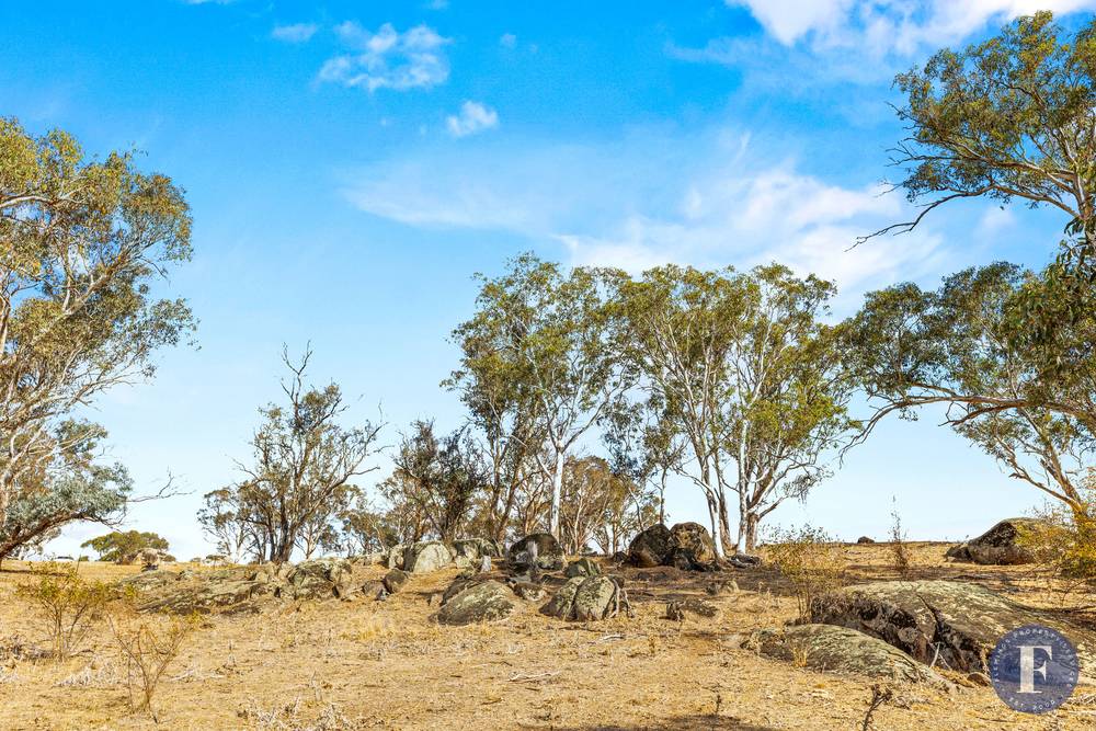 Tiedemann Place, Young, NSW 2594