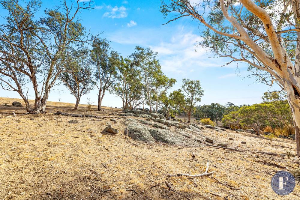 Tiedemann Place, Young, NSW 2594
