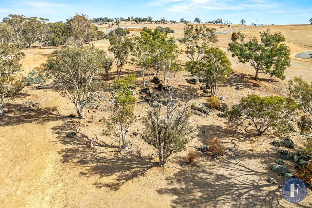 Tiedemann Place, Young, NSW 2594