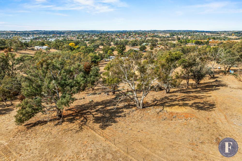 Tiedemann Place, Young, NSW 2594