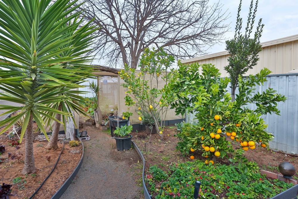 54 Indi Avenue, Red Cliffs, VIC 3496