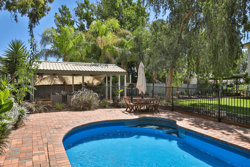 6 Dr Abramowski Court, MILDURA, VIC 3500