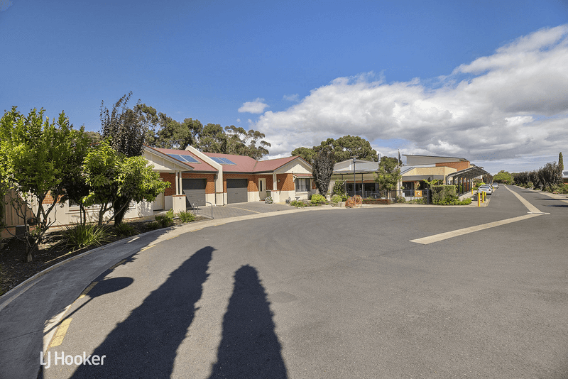 14/43 Fisher Street, MAGILL, SA 5072