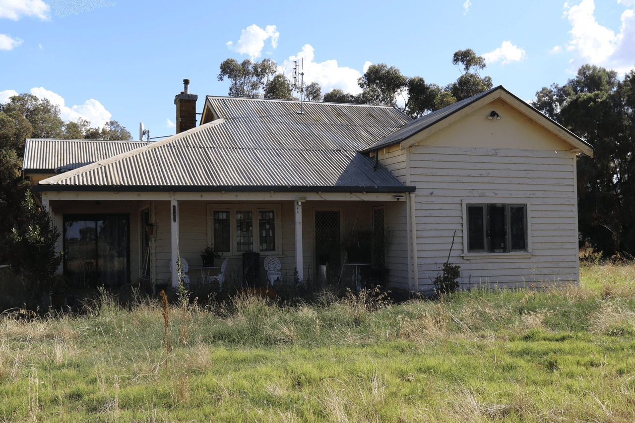 541 Bedgerabong Road, FORBES, NSW 2871