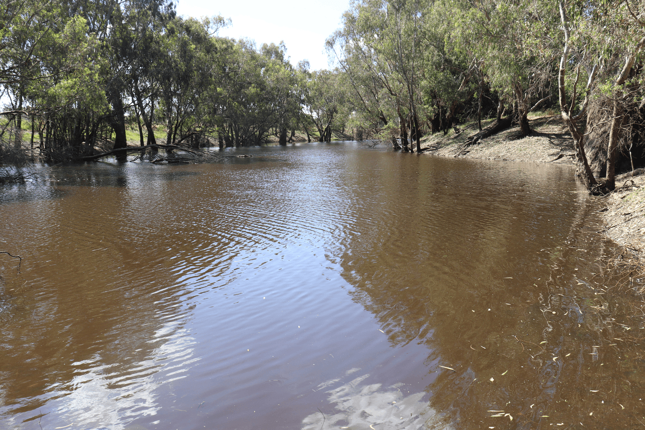 541 Bedgerabong Road, FORBES, NSW 2871