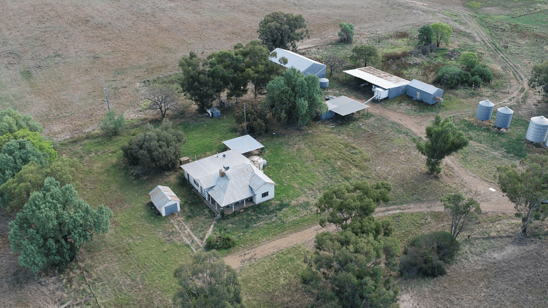 541 Bedgerabong Road, FORBES, NSW 2871