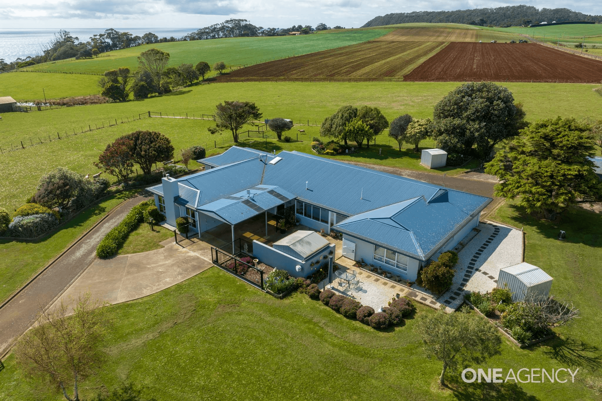 248 Tollymore Road, Table Cape, TAS 7325