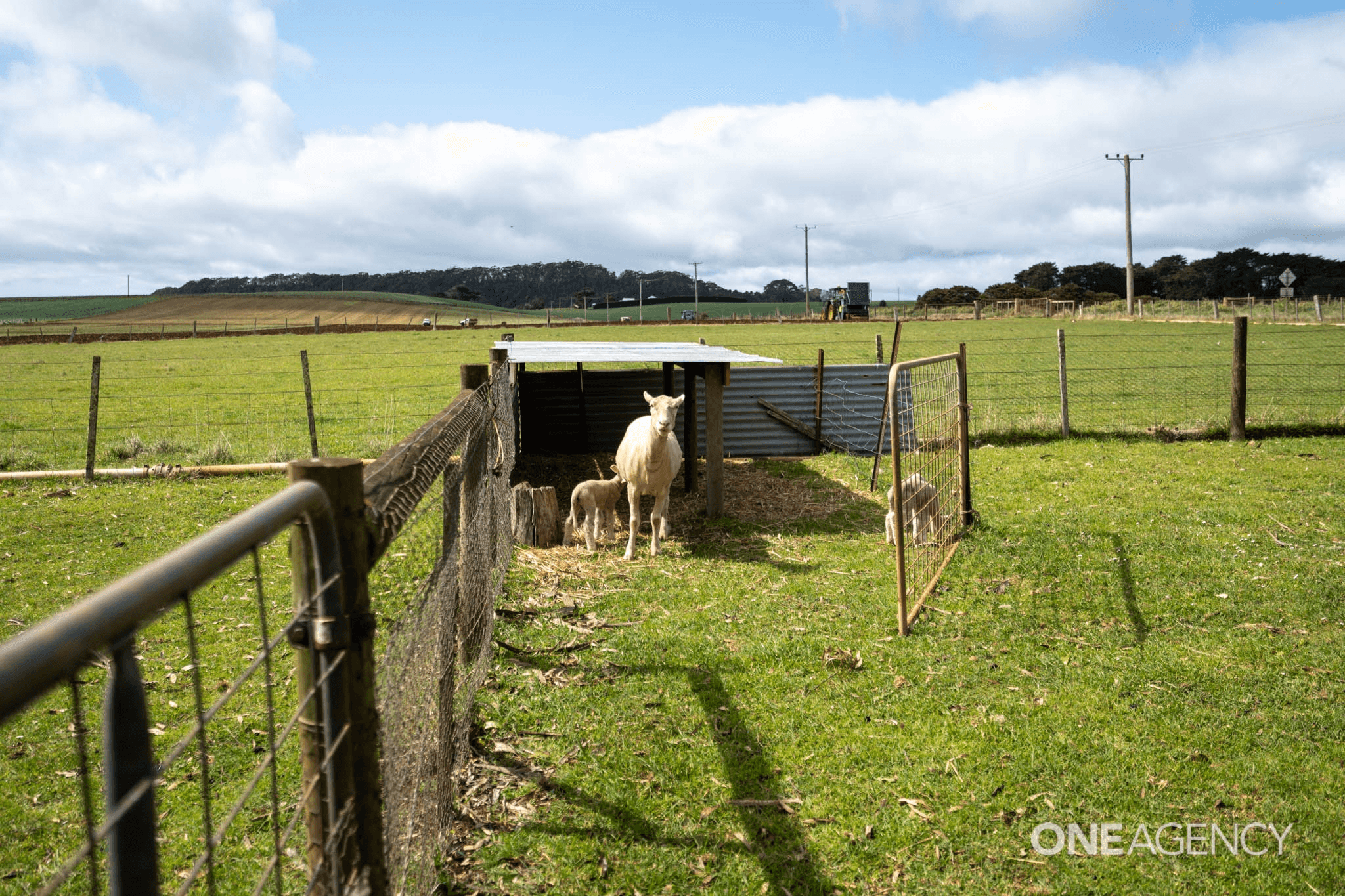 248 Tollymore Road, Table Cape, TAS 7325