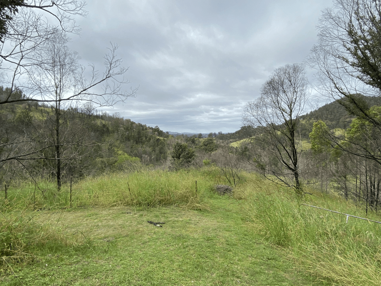 1138 Mooral Creek Road, MOORAL CREEK, NSW 2429