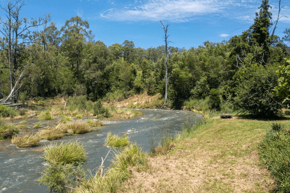 123 Lemon Gum Road, LOWER PAPPINBARRA, NSW 2446