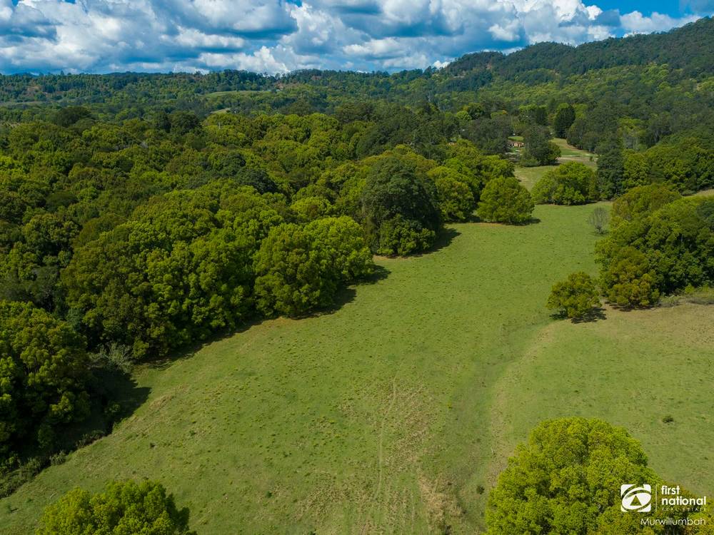 75 Tuntable Falls Road, Nimbin, NSW 2480