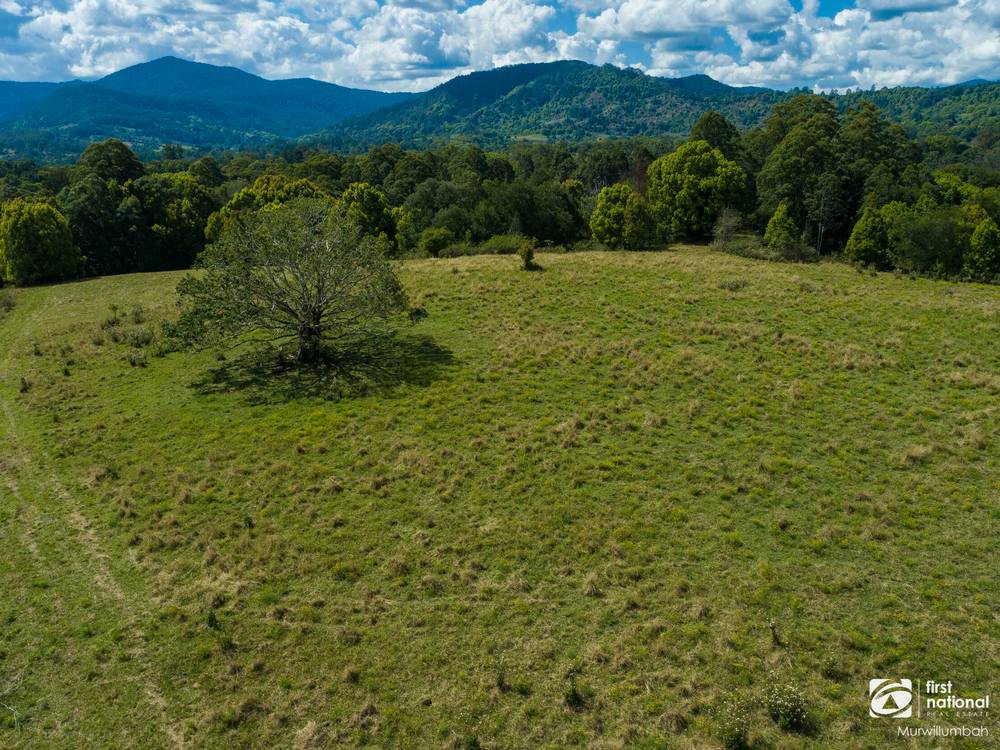 75 Tuntable Falls Road, Nimbin, NSW 2480