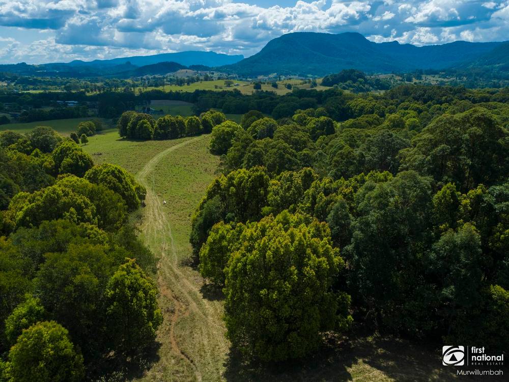 75 Tuntable Falls Road, Nimbin, NSW 2480