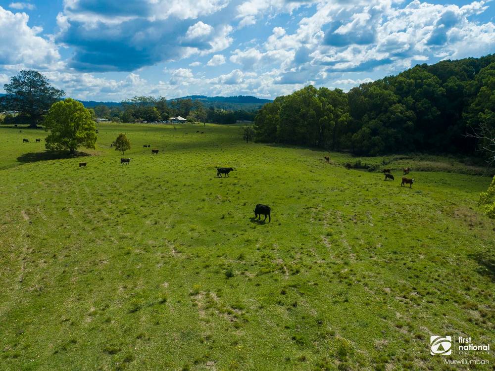75 Tuntable Falls Road, Nimbin, NSW 2480