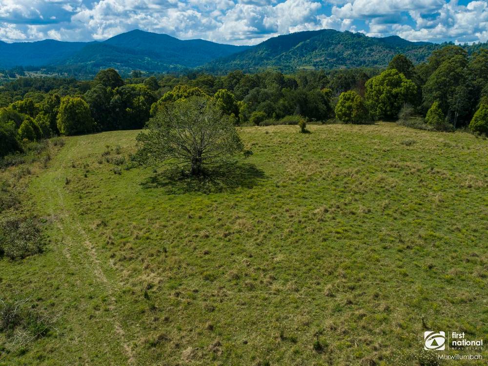 75 Tuntable Falls Road, Nimbin, NSW 2480