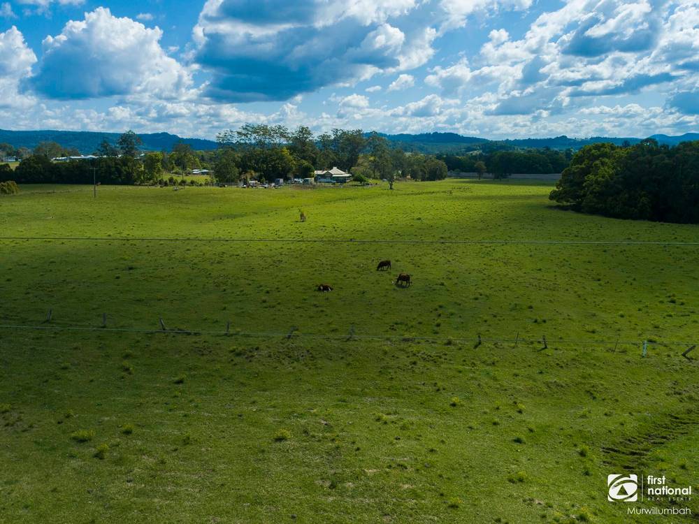 75 Tuntable Falls Road, Nimbin, NSW 2480