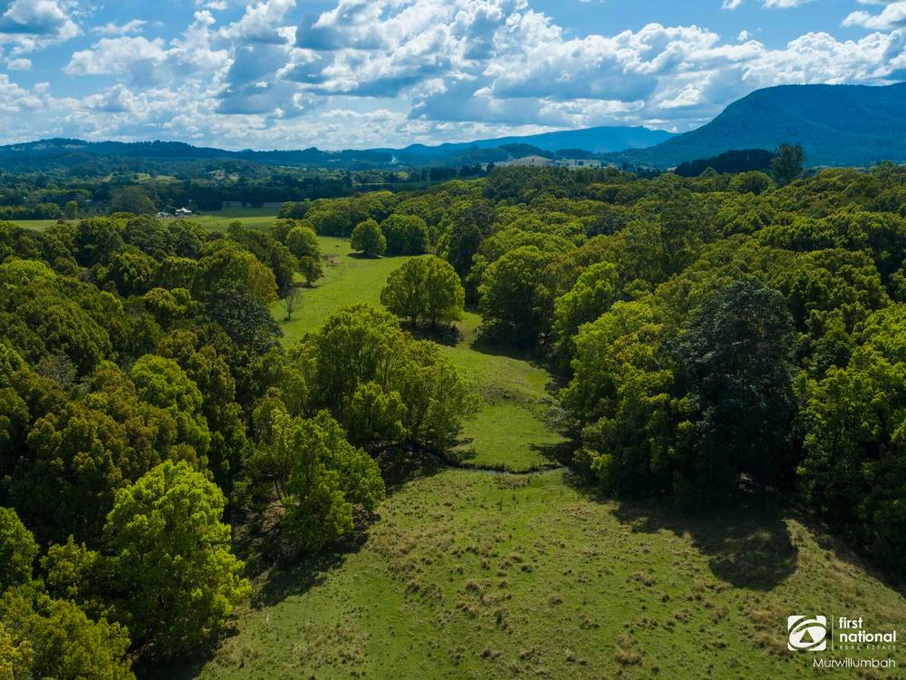 75 Tuntable Falls Road, Nimbin, NSW 2480