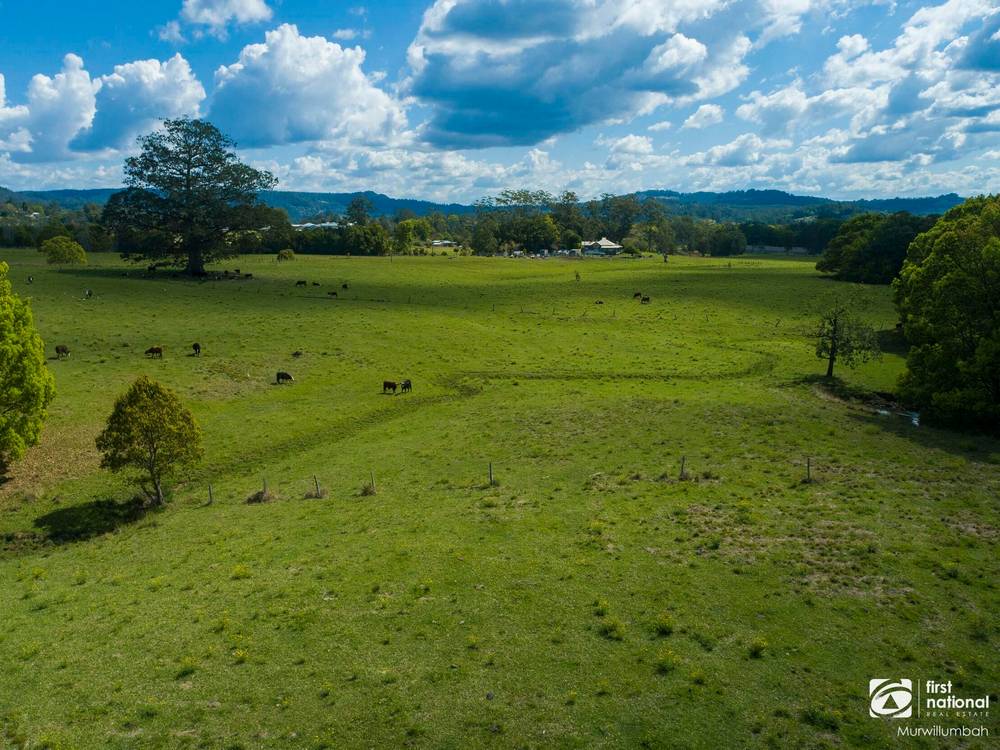75 Tuntable Falls Road, Nimbin, NSW 2480