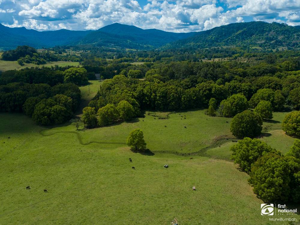 75 Tuntable Falls Road, Nimbin, NSW 2480