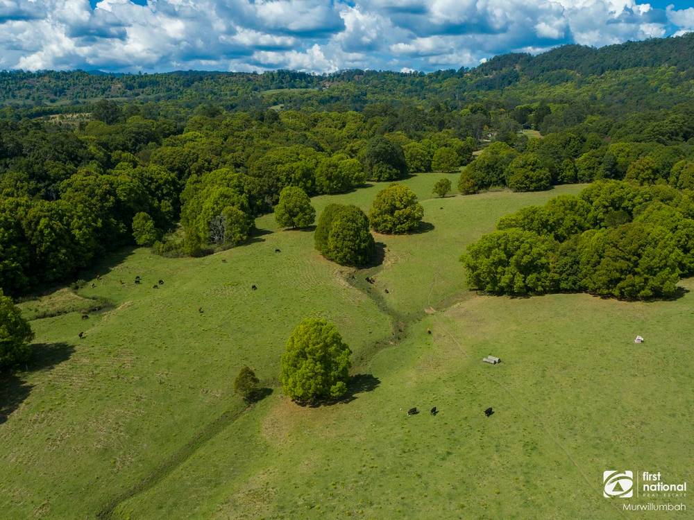 75 Tuntable Falls Road, Nimbin, NSW 2480