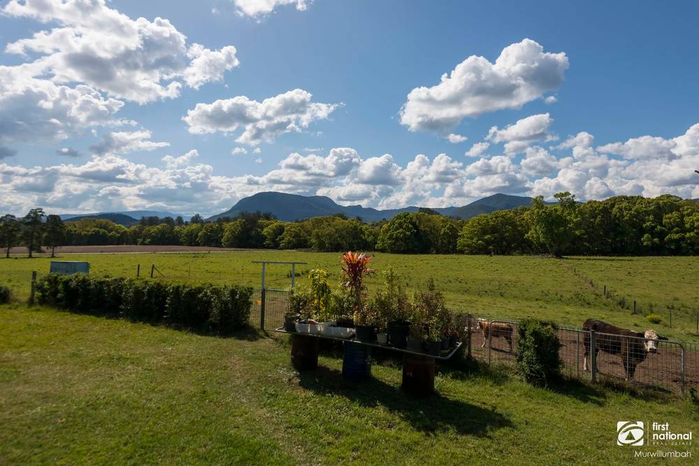 75 Tuntable Falls Road, Nimbin, NSW 2480