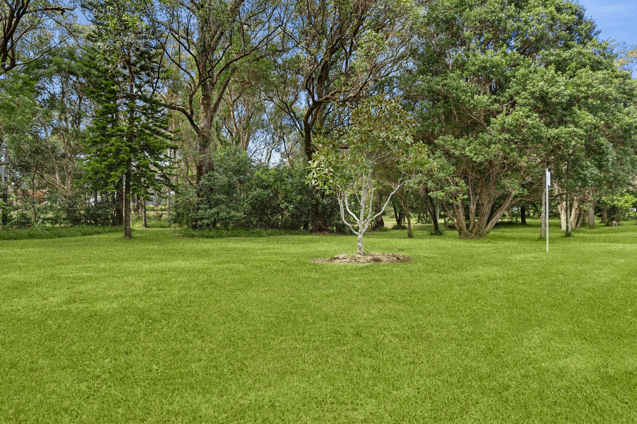25 Plantation Ave, Coffs Harbour, NSW 2450