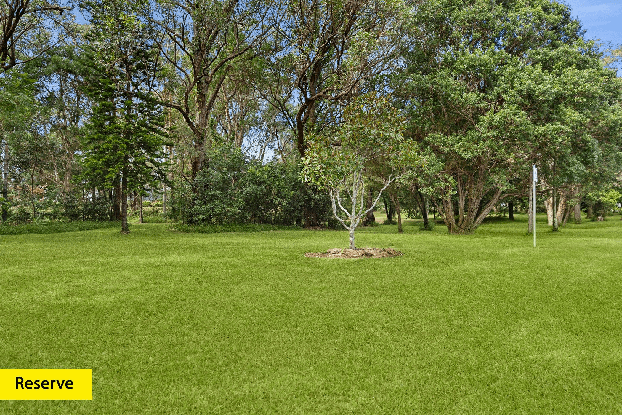 25 Plantation Ave, Coffs Harbour, NSW 2450