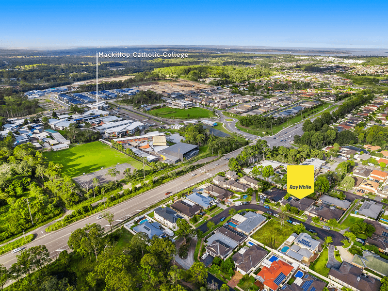 17 Middle Tree Close, HAMLYN TERRACE, NSW 2259