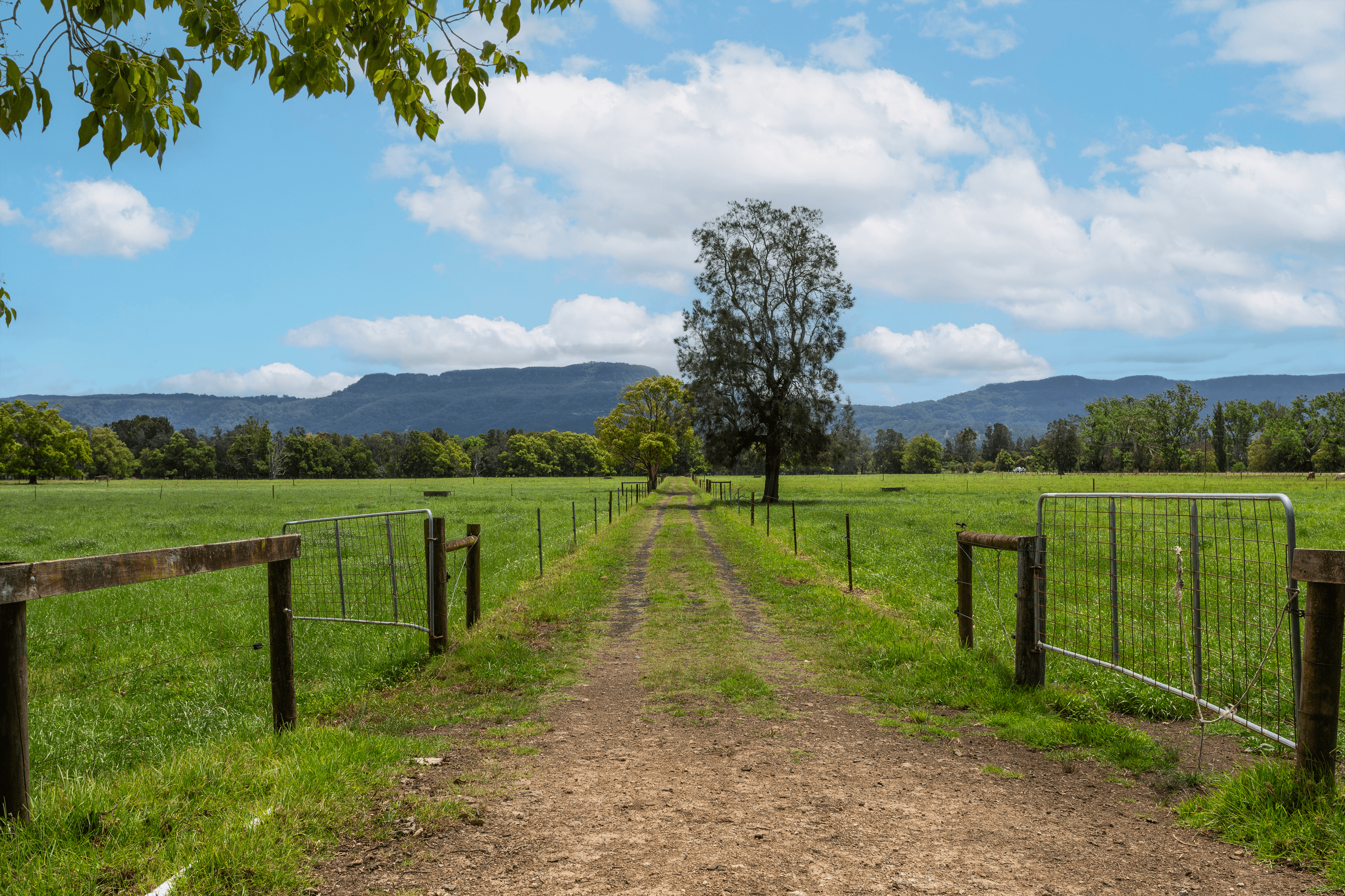 639E coolangatta road, BERRY, NSW 2535