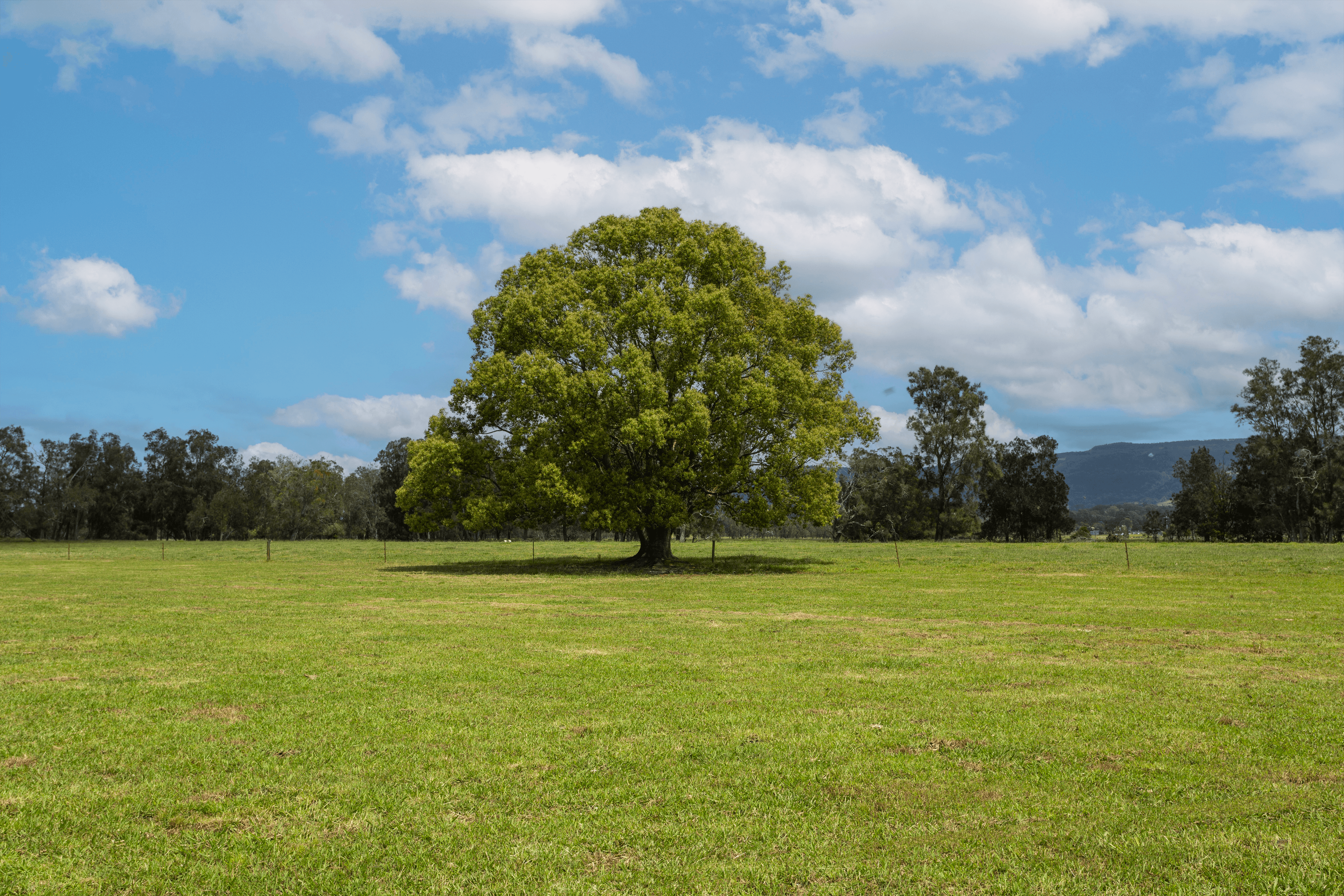 639E coolangatta road, BERRY, NSW 2535