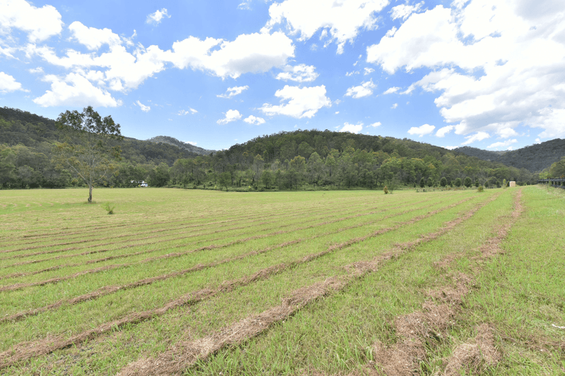 209 NARONE CREEK ROAD, Wollombi, NSW 2325