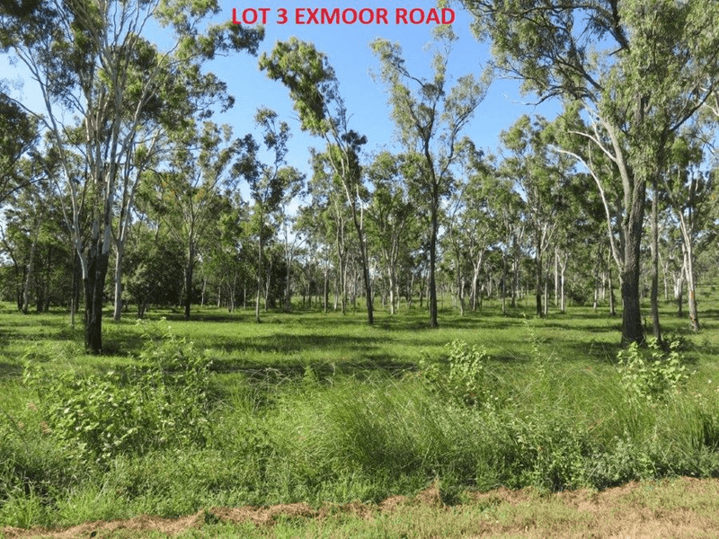 LOT 2,3 & 4 EXMOOR ROAD & LOT 3 MIDGE POINT RD, BLOOMSBURY, QLD 4799